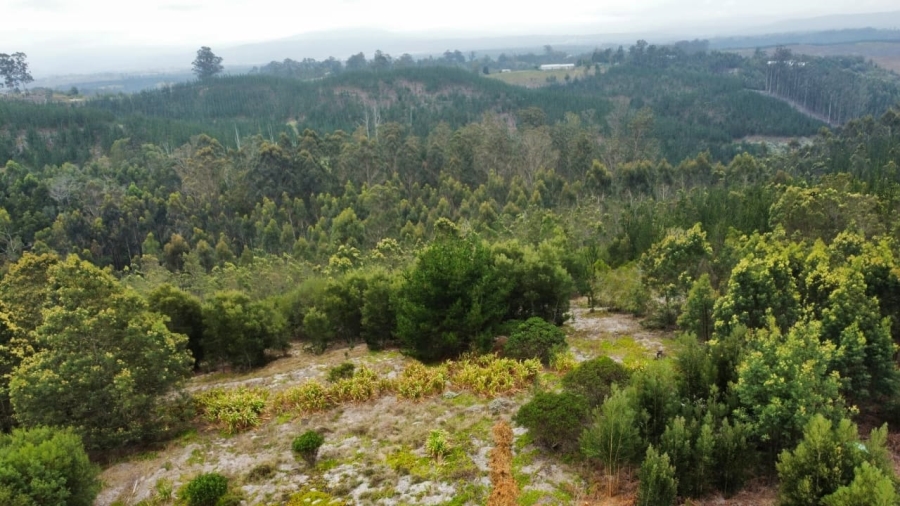 Commercial Property for Sale in Sedgefield Rural Western Cape